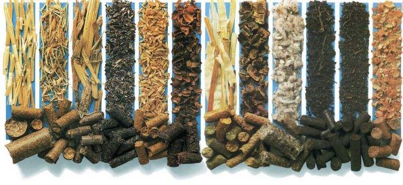 影響生物質燃料顆粒設備出料口因素？